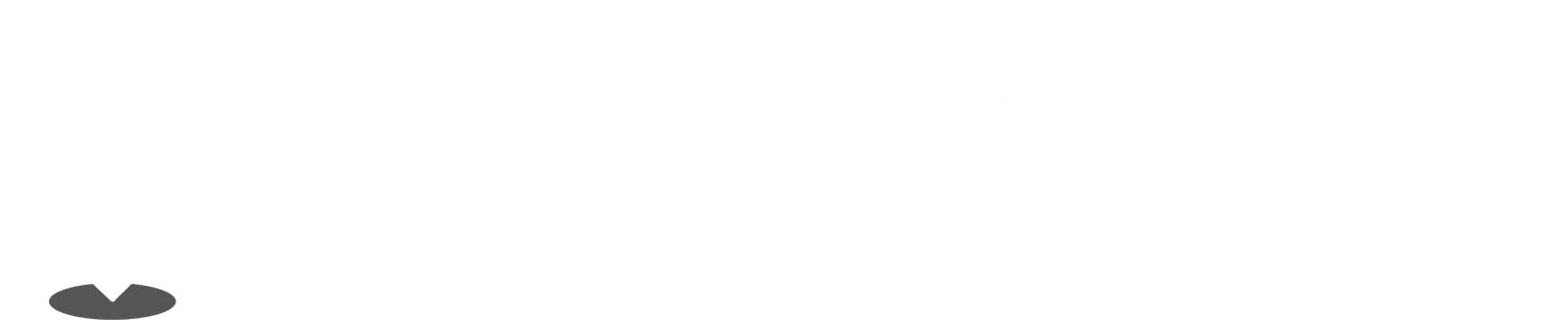 ZeiLocal Footer Logo